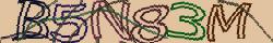 Retype the CAPTCHA code from the image